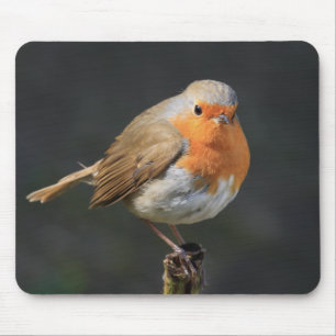 Chirpy Robin Mouse Pad