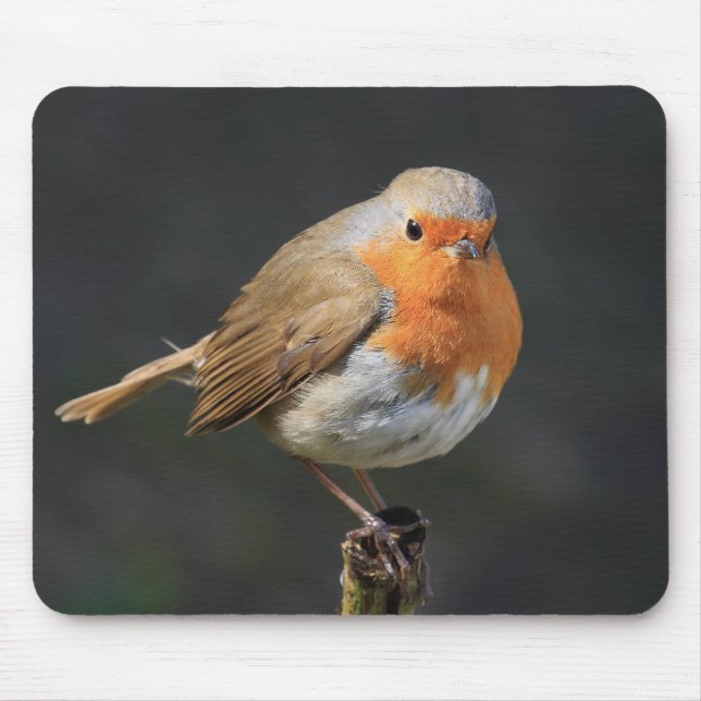 Chirpy Robin Mouse Pad (Front)