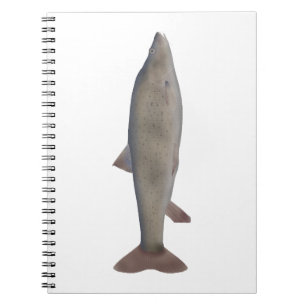 Chirruh Snowtrout Notebook