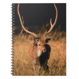 Chital Natural Habitat Bandhavgar National Park Notebook