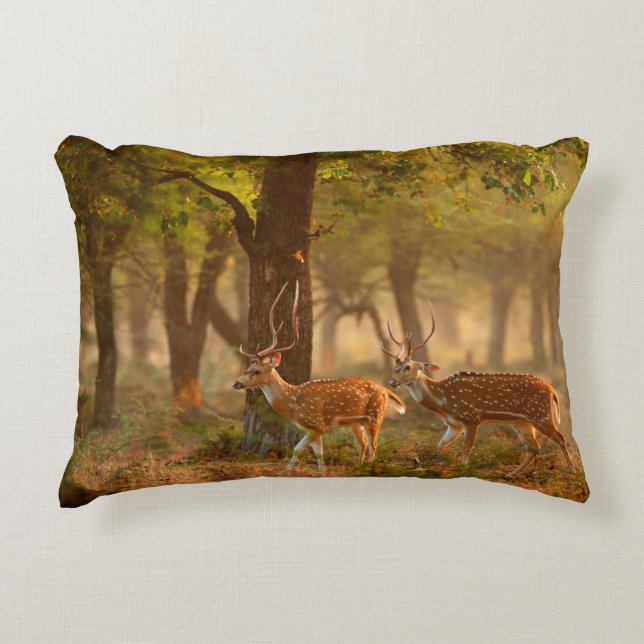 Chital or cheetal, Axis axis, spotted deers or axi Accent Pillow (Front)