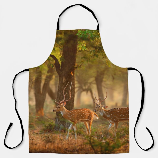 Chital or cheetal, Axis axis, spotted deers or axi Apron (Front)