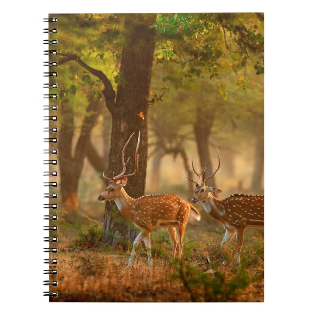 Chital or cheetal, Axis axis, spotted deers or axi Notebook (Front)