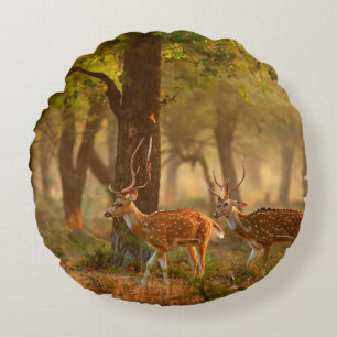 Chital or cheetal, Axis axis, spotted deers or axi Round Pillow