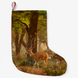 Chital or cheetal, Axis axis, spotted deers or axi Small Christmas Stocking
