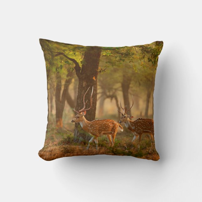 Chital or cheetal, Axis axis, spotted deers or axi Throw Pillow (Front)