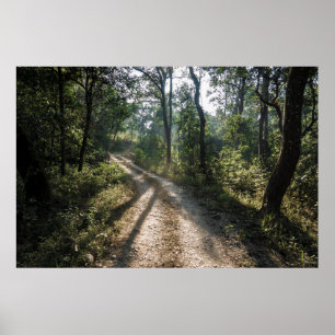 Chitwan Jungle Path: Sunlit Forest Trail  Poster