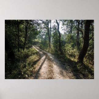 Chitwan Jungle Path: Sunlit Forest Trail Poster