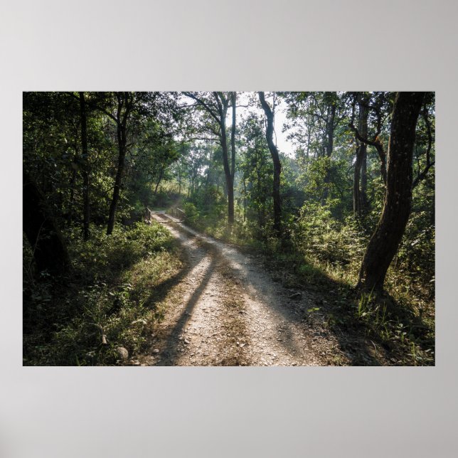 Chitwan Jungle Path: Sunlit Forest Trail  Poster (Front)