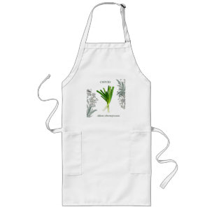 Chives — Allium schoenoprasum Long Apron