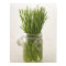 Chives
