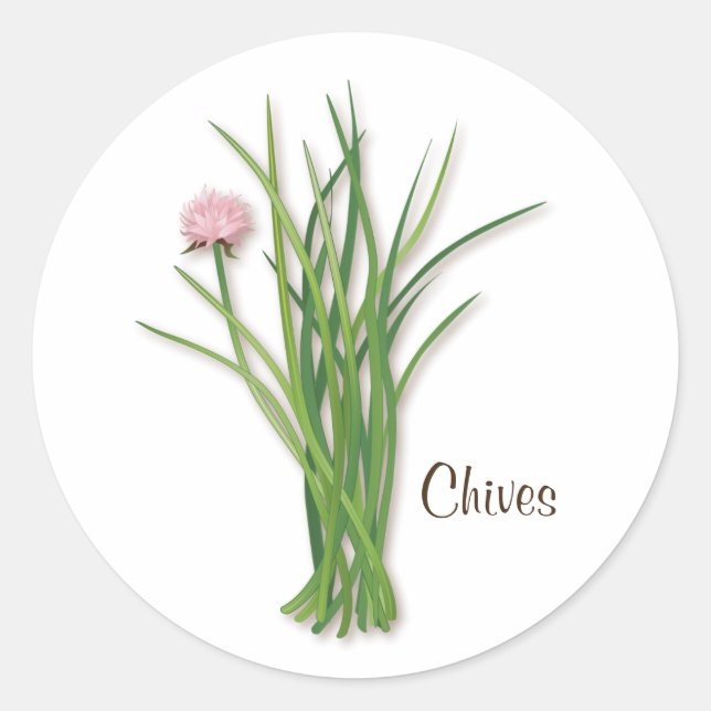 Chives Round Sticker (Front)