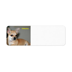 Chiwawa