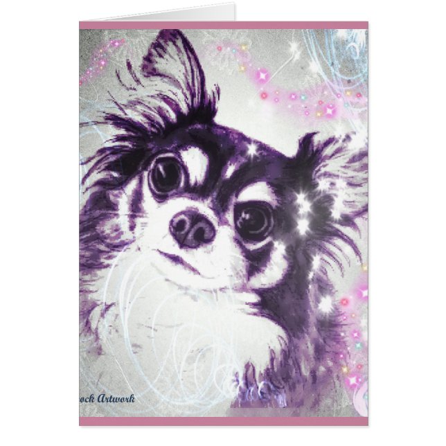 Chiwawa aux cheveux longs (Devant)