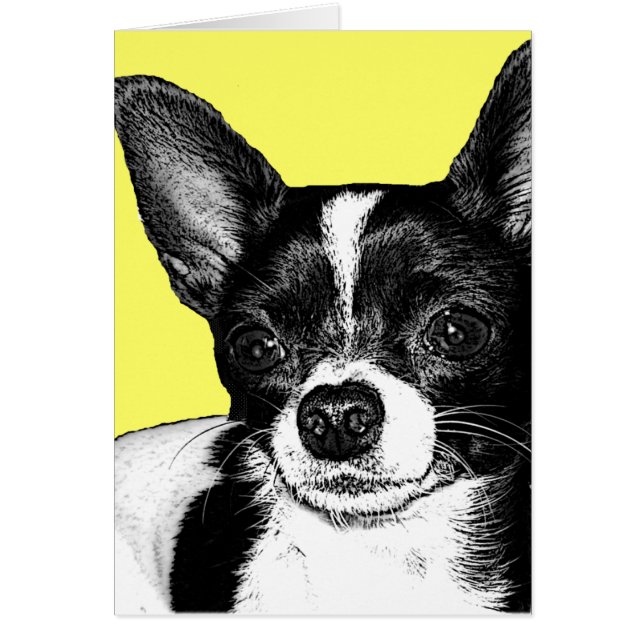 Chiwawa de partie (Devant)