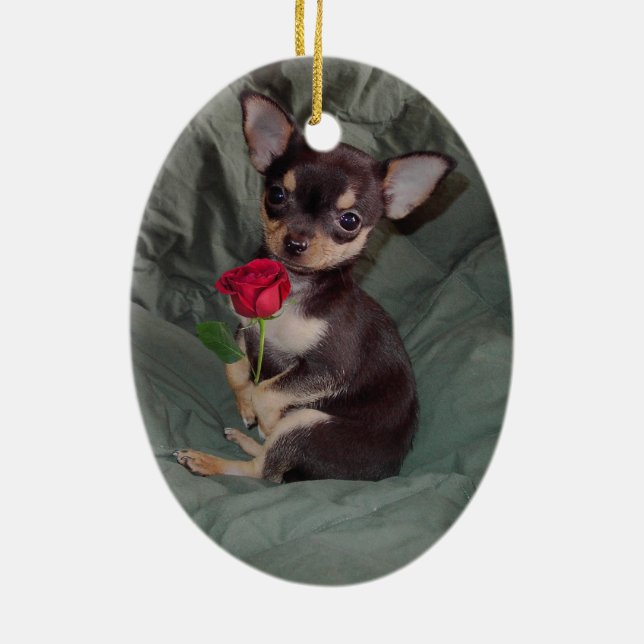 Chiwawa MerryRose tenant un ornement de rose (Dos)