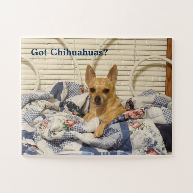 Chiwawas obtenus puzzle (Horizontal)