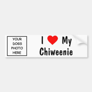 Chiweenie Bumper Sticker
