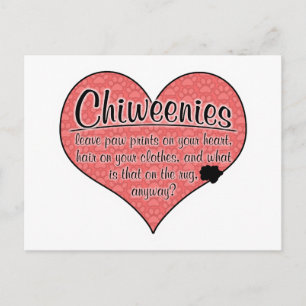 Chiweenie Paw Prints Dog Humour Postcard