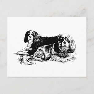Chloe and Ollie postcard