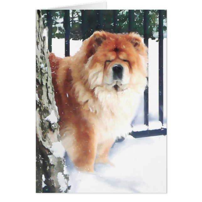 CHLOE IN THE SNOW heARTdog chow (Front)