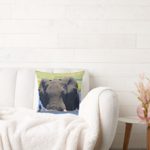 Chobe Elephant throw Pillow