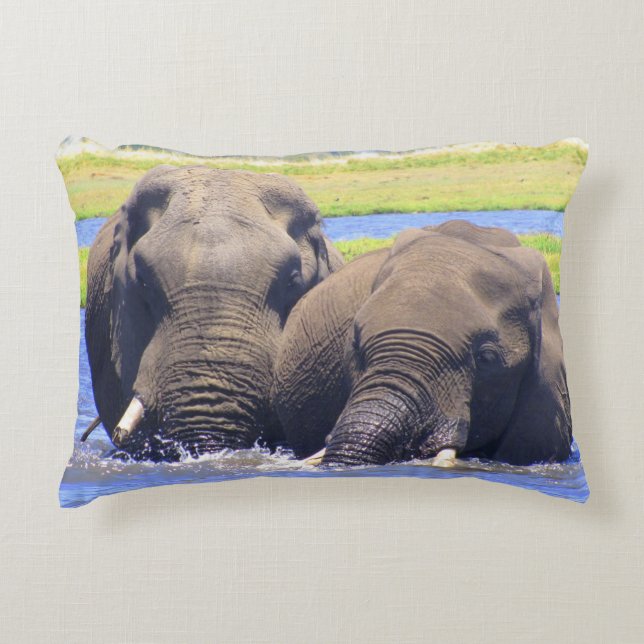Chobe Elephants Playing in the Water Accent Pillow (Front)