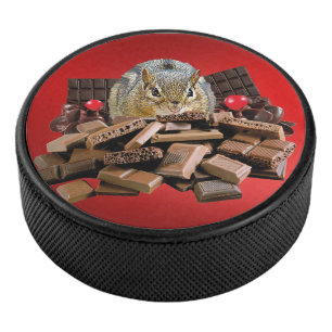 Chocolat de jour le plus doux Chipmunk