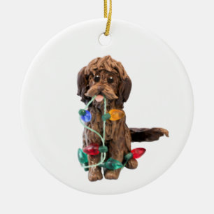 Chocolat Doodé Ornement de chien