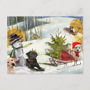 Chocolat Lab aime les cartes de Noël