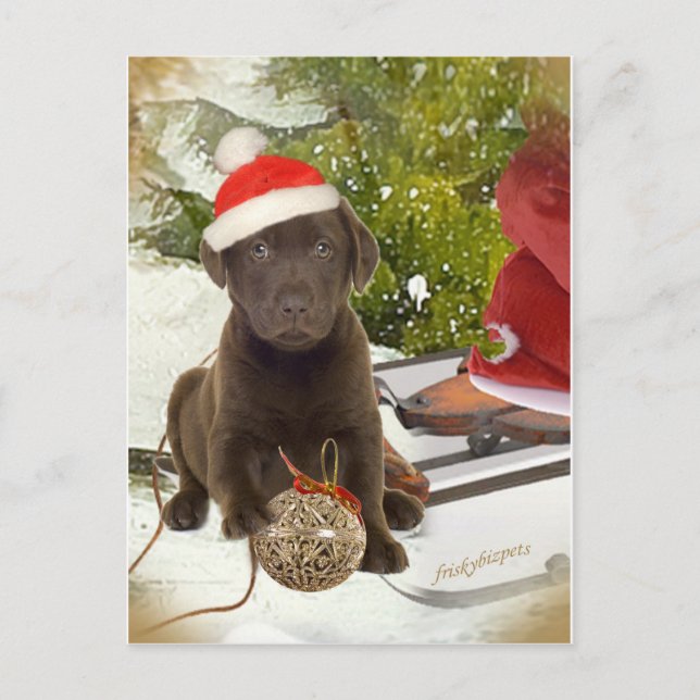 Chocolat Lab aime les cartes de Noël (Devant)