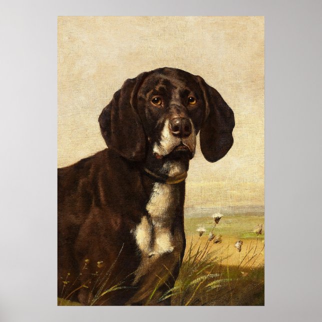 Chocolat Lab Chien, Poster vintage (Devant)