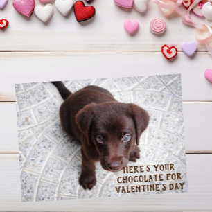 Chocolat Lab Puppy Valentine's Day Meme Card