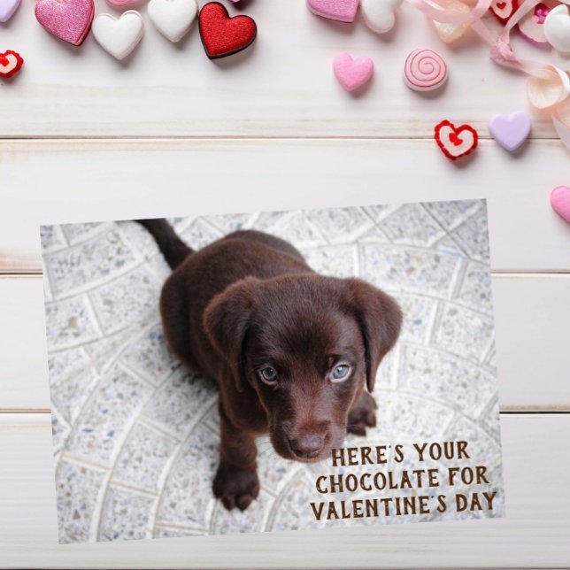 Chocolat Lab Puppy Valentine's Day Meme Card (Créateur téléchargé)