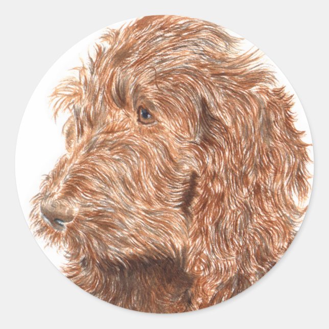 Chocolat Labradoodé #2 Stickers ronds (Devant)