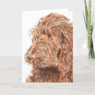 Chocolat Labradoodle #2 Carte de voeux