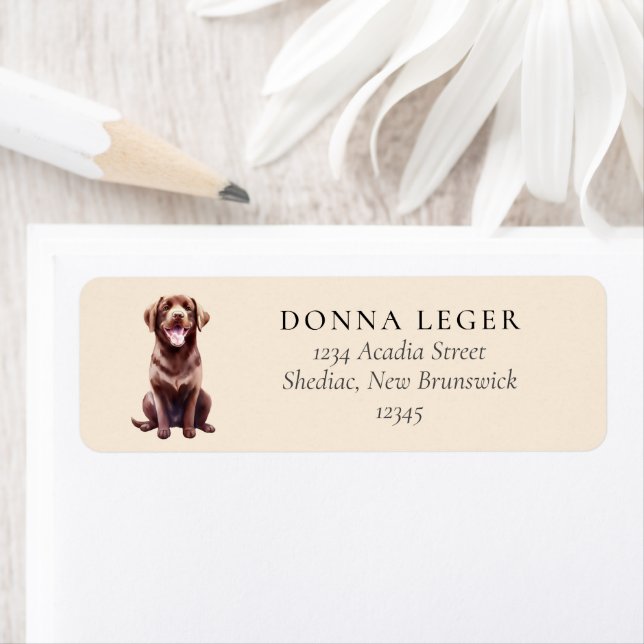 Chocolat Labrador Dog Adresse (En situation)