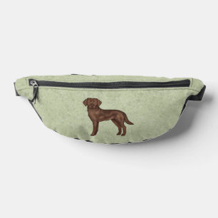 Chocolat Labrador Retriever Brown Lab Dog Green