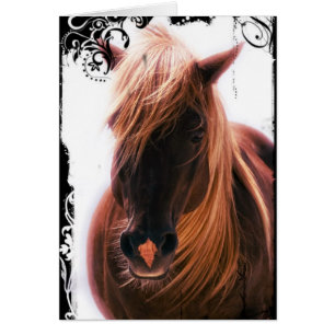 Chocolat Palomino Horse