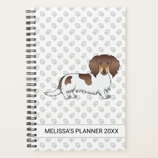 Chocolat & Tan Piebald cheveux longs Dachshund & T (Devant)