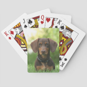 Chocolate and Tan Dachshund - Doxie Dog Playing Cards