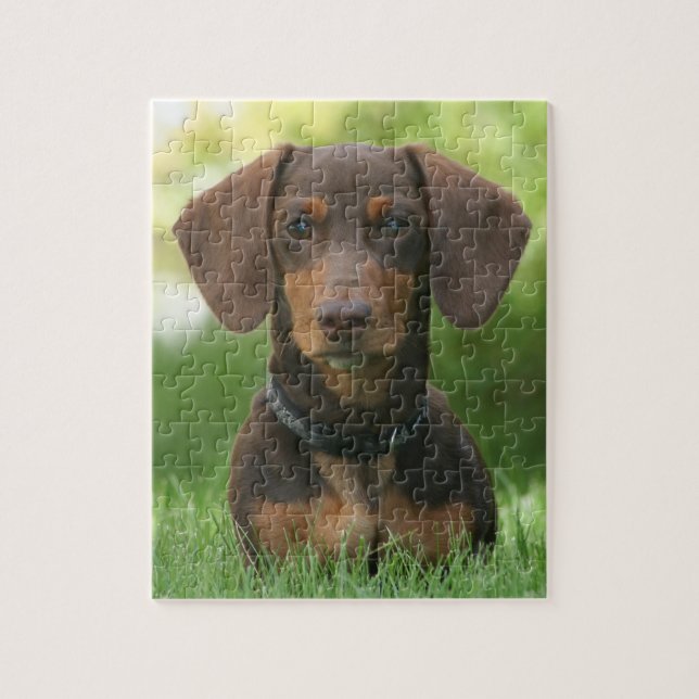 Chocolate and tan Dachshund Jigsaw Puzzle (Vertical)
