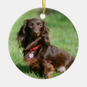 Chocolate and Tan Long-haired Miniature Dachshund Ceramic Ornament