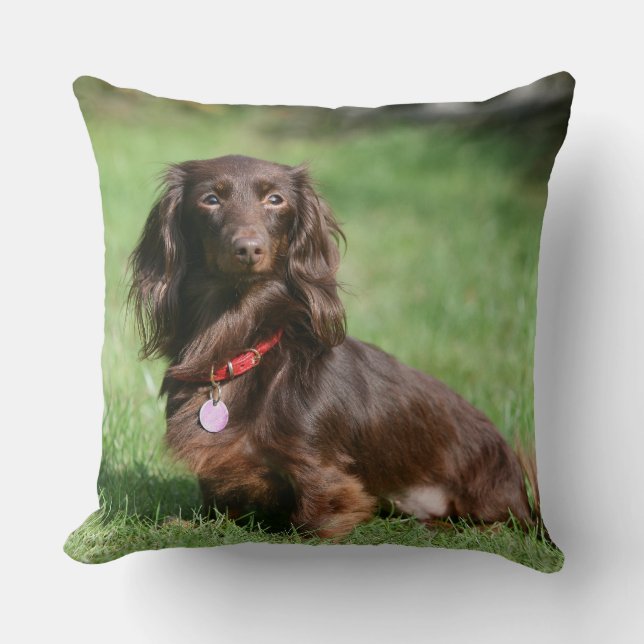 Chocolate and Tan Long-haired Miniature Dachshund Throw Pillow (Front)