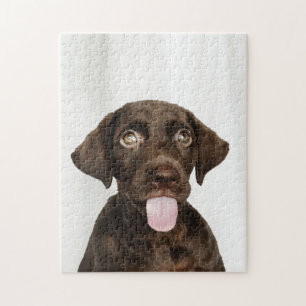 Chocolate Brown Lab Puppy Jigsaw Puzzle