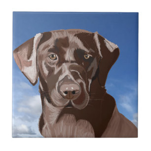 Chocolate Brown Labrador against the blue sky Tile