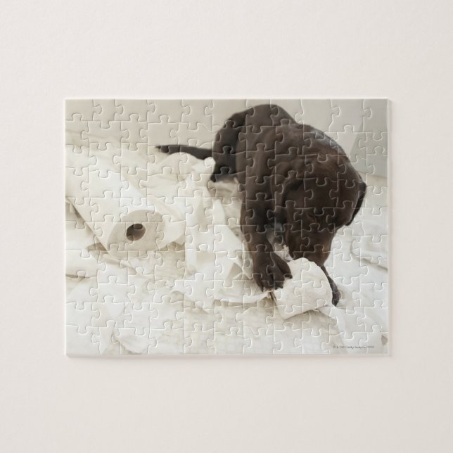 Chocolate brown labrador. jigsaw puzzle (Horizontal)