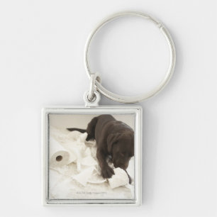 Chocolate brown labrador. keychain