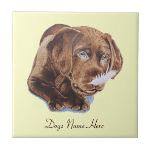 chocolate brown labrador puppy funny dog picture tile