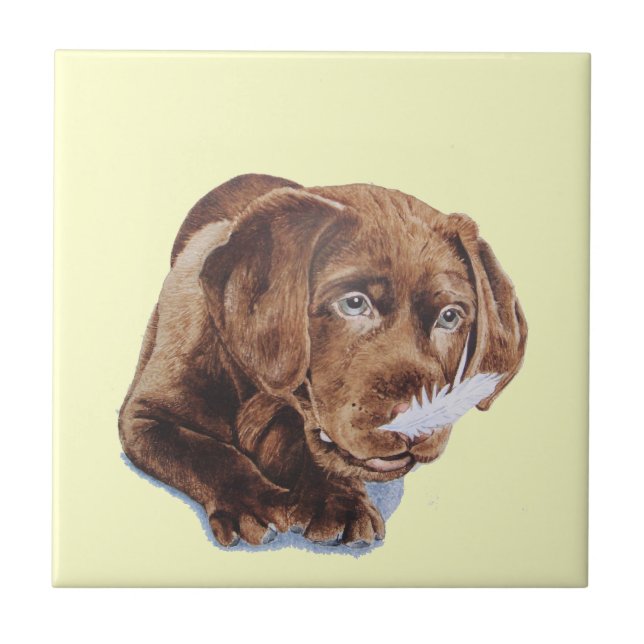 chocolate brown labrador puppy funny dog picture tile (Front)